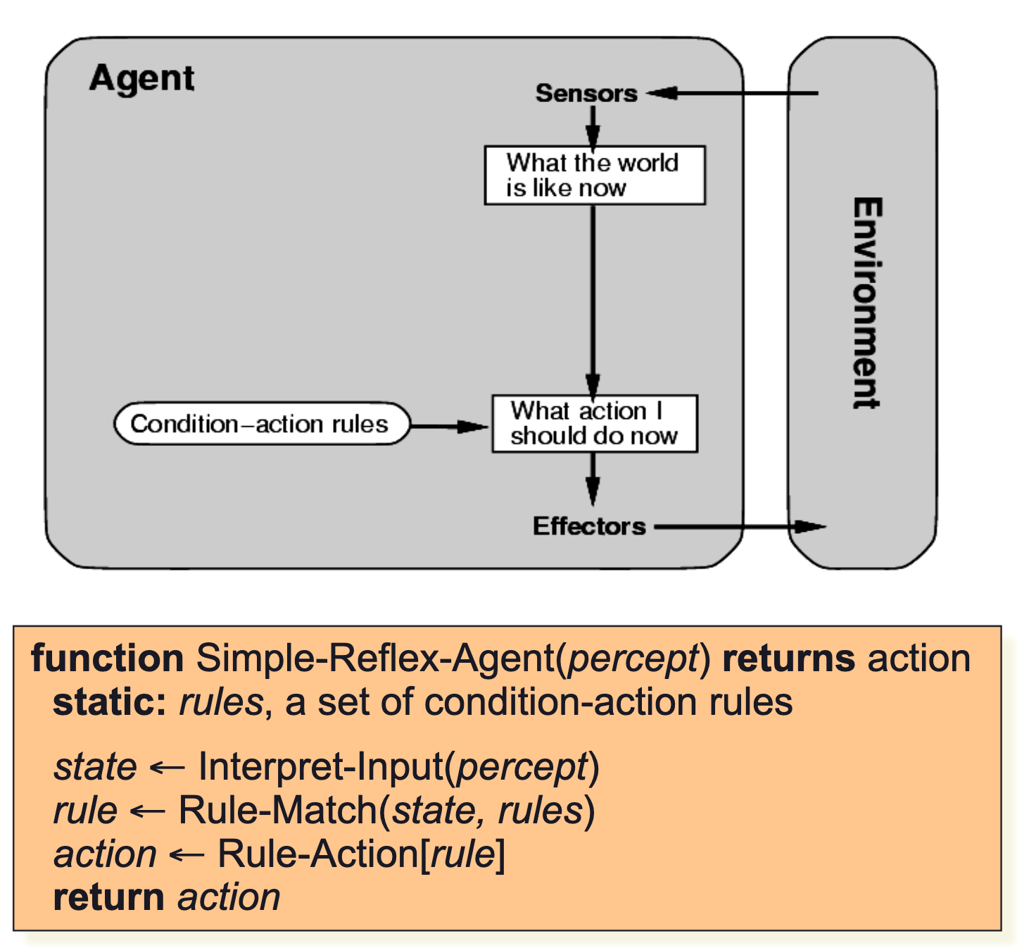 Simple Reflex AI Agents
